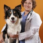 Kim Somjen, DVM CCRP cVMA, Belle Mead Animal Hospital