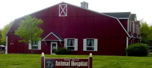 Belle Mead Animal Hospital photo