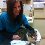 Dr. Heather Simon, VMD, examines Pudgie