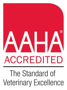 AAHA Accredited, The Standard of Veterinary Excellence