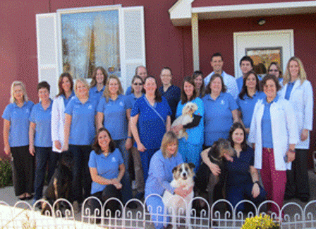 Belle Mead Animal Hospital Team