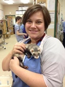 Dr. Kim Somjen, DVM, Belle Mead Animal Hospital, with ferret patient Madeline.