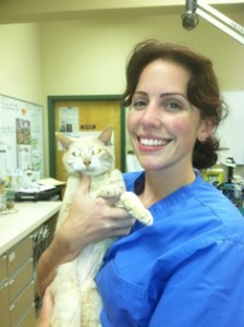 Dr. Erin Rockhill, DVM, Belle Mead Animal Hospital, with cat patient Dr. Erin Rockhill, DVM, Belle Mead Animal Hospital, with cat patient