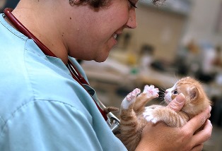 Dr. Kim Somjen, DVM with kitten