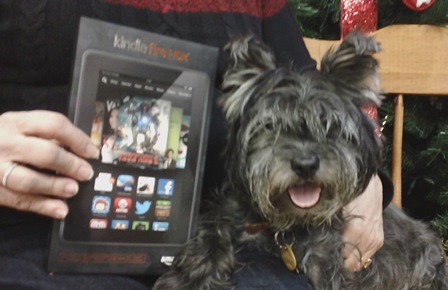 Max and Kindle Fire