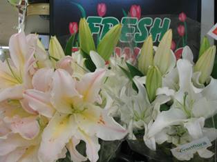 Fresh Lilies