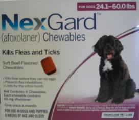 NexGard chewable for Dogs 24.1 to 60 lbs