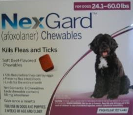 NexGard a new FDA approved chewable to combat fleas and ticks on