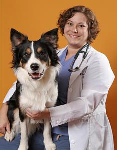 Dr. Kim Somjen, DVM, Belle Mead Animal Hospital