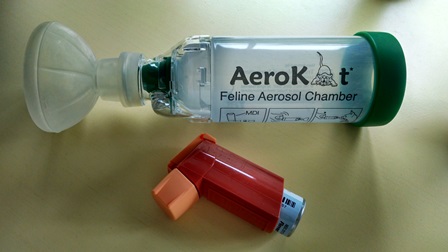 Aerokat Chamber and puffer