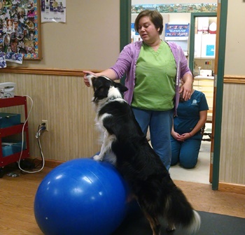 Dr. Kim Somjen demonstrates therapeutic exercise with dog Chill at Open House