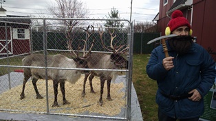 Reindeer Rocket and Fetch with Yukon Cornelius