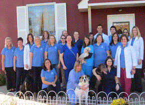 The Belle Mead Animal Hospital Team