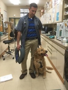 Dr. Martins, DVM, with Cody, a Golden Retriever patient at Belle Mead Animal Hospital