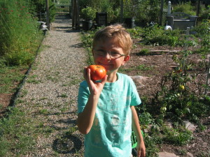 Henry and Tomato from Ranch C Ranch garden