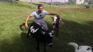 Dr. Joe Martins, DVM, with goats at Triple C Ranch