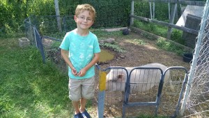 Henry with Edison the Potbellied Pig at Triple C Ranch