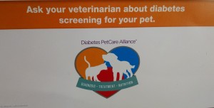 Diabetes PetCare Alliance