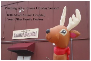 Holiday Greetings 2015 from Belle Mead Animal Hospital