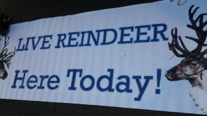 Live Reindeer Signage 2015 Belle Mead Animal Hospital