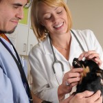 Dr. Kerry T. Kraemer and Ron Garcia examine Lexi at Blum Animal Hospital photo credit AVMA for Belle Mead Animal Hospital