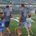 Dr Martins Pooch Parade 2016