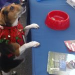 Canine Visitor to Belle Mead Animal Hospital Live Reindeer Event