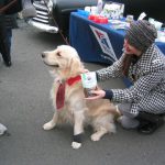  Hills Pet Nutrition at Belle Mead Animal Hospital Live Reindeer event