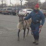 Reindeer Thunder enters with Yukon Cornelius