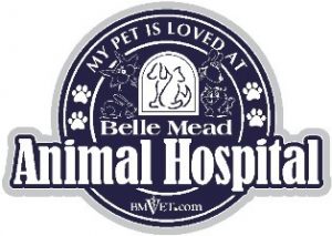 Preventing Pet Heat Stroke  Belle Mead Animal Hospital in