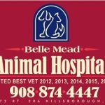 Belle Mead Animal Hospital Best Wins