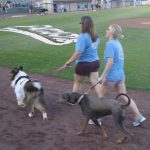 BMAH Team members in Pooch Parade