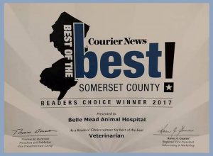 Courier News Best of Somerset County 2017 Belle Mead Animal Hospital