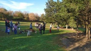 Dogs Playing in Dog Park at Howl-O-Ween