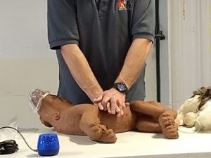 Pet CPR dog