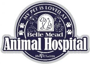 My Pet is Loved at Belle Mead Animal Hospital