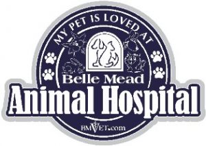 My Pet Is Loved at Belle Mead Animal Hospital