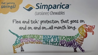 https://vetportal.vetsecure.com/email/1446/Simparica_Cropped.jpg