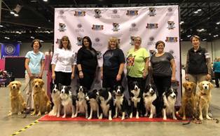 Dr. Somjen and dog Chill AKC Obedience Classic