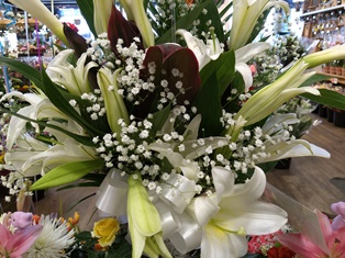 https://vetportal.vetsecure.com/email/1446/Lily_in_flower_arrangement.jpg