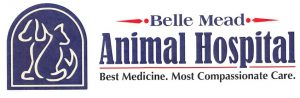 BMAH Best Medicine Logo