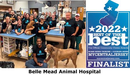 Belle Mead Animal Hospital Team